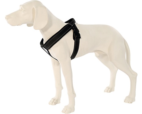 Harnais noir pour chien sur un modèle de chien