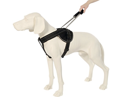 Harnais pour chien avec laisse sur modèle de chien