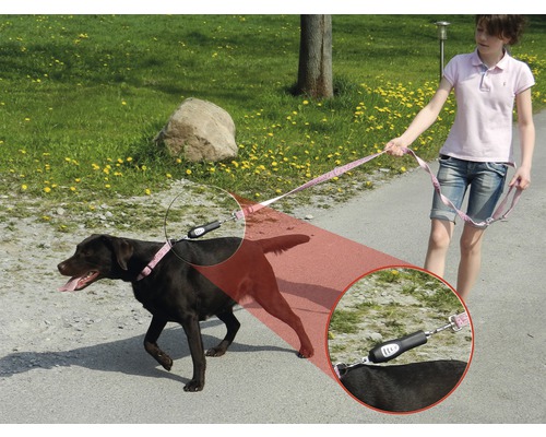 Fille promenant un labrador noir avec une laisse