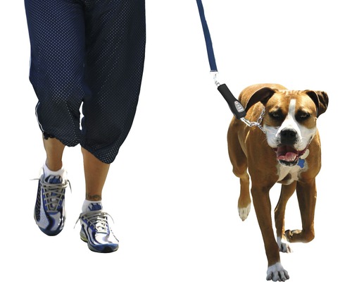 Personne promenant un chien en laisse