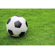Ballon de foot sur gazon