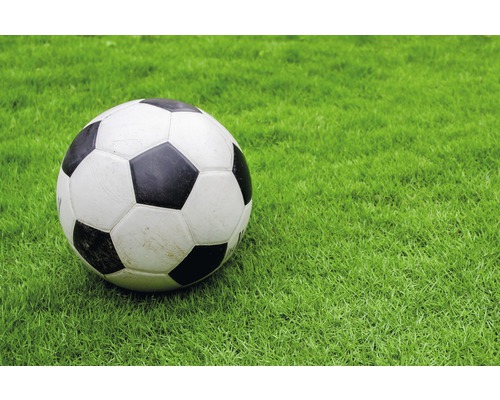 Ballon de foot sur gazon