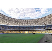 Stade de football avec travaux d''entretien de la pelouse