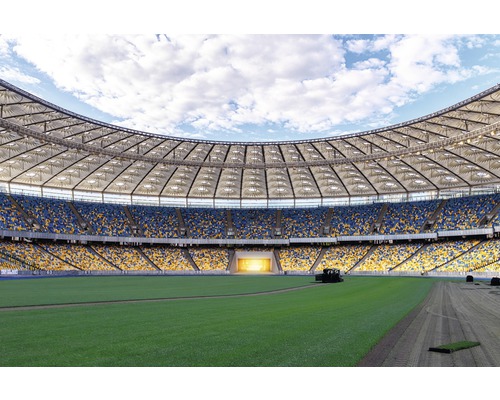 Stade de football avec travaux d''entretien de la pelouse