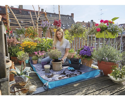 Femme plantant une plante en pot sur un balcon avec des accessoires de jardinage et diverses fleurs