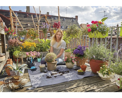 Une femme plante des fleurs sur un toit-terrasse verdoyant avec diverses plantes en pots.