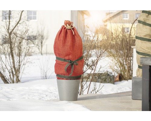 Pflanze im Topf mit Winterschutzsack