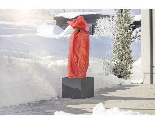Pflanze im Topf mit Winterschutz in einer verschneiten Umgebung