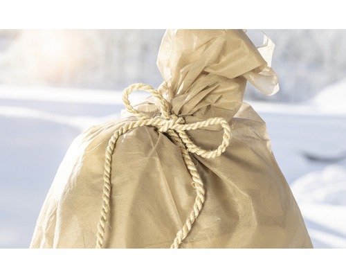 Pflanze im Jutetuch mit Bindeband verpackt