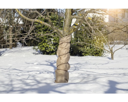 Tronc d''arbre avec manchon de protection hivernale dans la neige