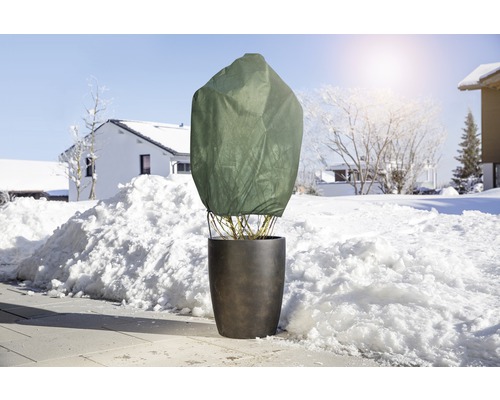 Pflanze im Topf mit Winterschutzhaube im verschneiten Garten