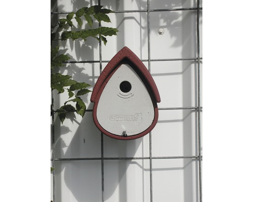 Nichoir à suspendre à un mur avec végétation