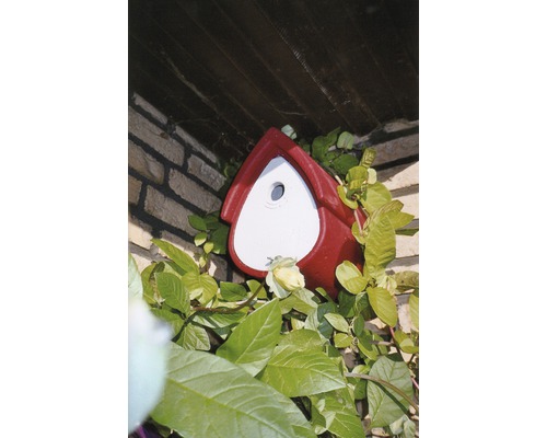 Nichoir sur un mur de briques avec des plantes