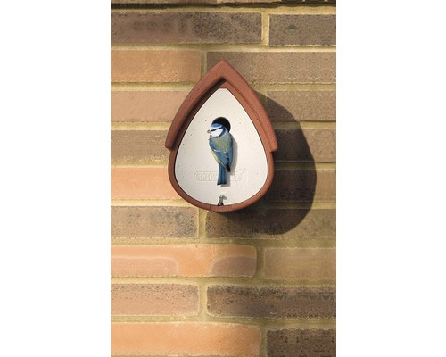 Nichoir sur un mur de briques avec une mésange bleue