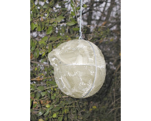 Station d''alimentation ronde pour oiseaux, suspendue à un arbre