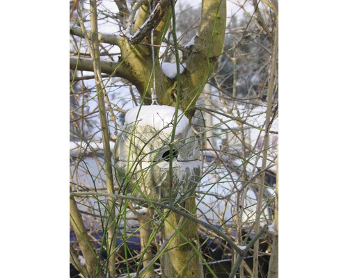 Nichoir en métal avec de la neige sur un arbre