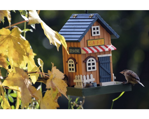 Maisonnette à oiseaux décorative style café avec petit oiseau