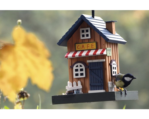 Maison pour oiseaux décorative style café avec mésange bleue