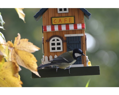 Mésange charbonnière sur une mangeoire à oiseaux en forme de café