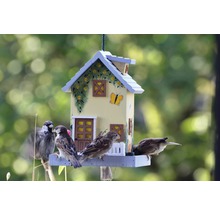 Dekoratives Vogelhaus im Design eines Hauses mit mehreren Spatzen