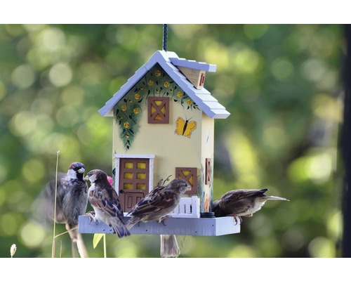Dekoratives Vogelhaus im Design eines Hauses mit mehreren Spatzen