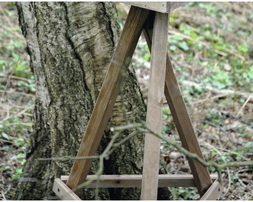 Construction en bois à côté d''un tronc d''arbre dans le jardin.