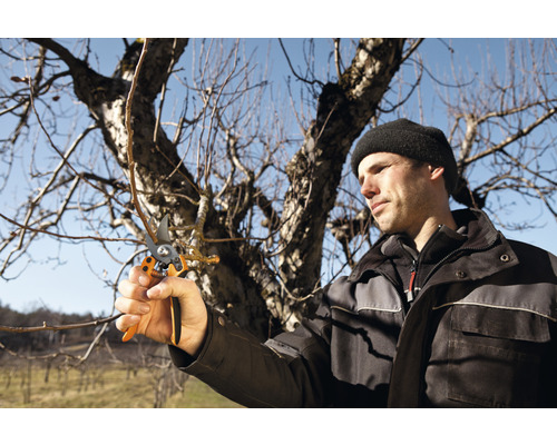 Homme coupant des branches d''arbre avec un sécateur