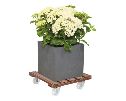 Pot de fleurs carré avec hortensia sur roulettes