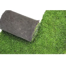 Un rouleau de gazon pour le jardin