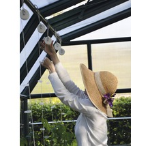 Frau im Gewächshaus befestigt Pflanzenschnüre an Seilrollen.