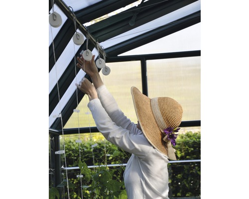 Frau im Gewächshaus befestigt Pflanzenschnüre an Seilrollen.