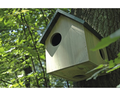 Nichoir en bois avec trou rond sur un arbre