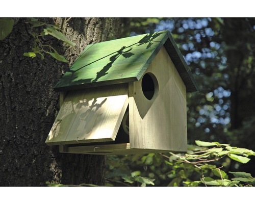 Nid d''oiseau en bois avec toit vert sur un arbre
