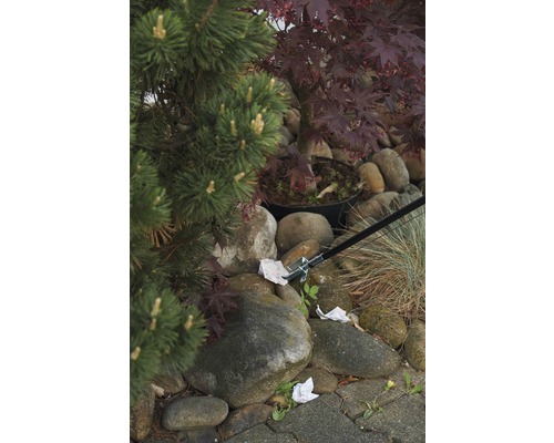 Jardin avec des pierres, des plantes et une pince pour ramasser les déchets