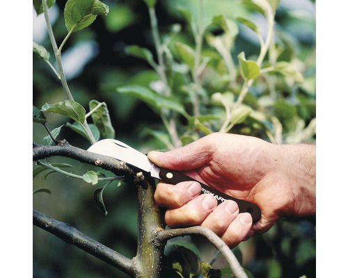 Une main utilise un greffoir Fiskars pour couper une branche.