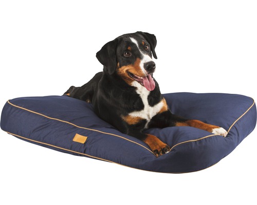 Bouvier d''Entlebuch couché sur un lit pour chien