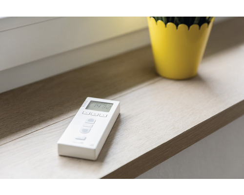 Fernbedienung für Rollladen auf Fensterbank mit Topfpflanze