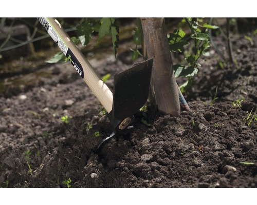 Gartengerät mit Holzstiel zur Bodenbearbeitung im Garten