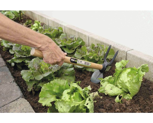 Person arbeitet mit einer Kombihacke im Gemüsegarten.