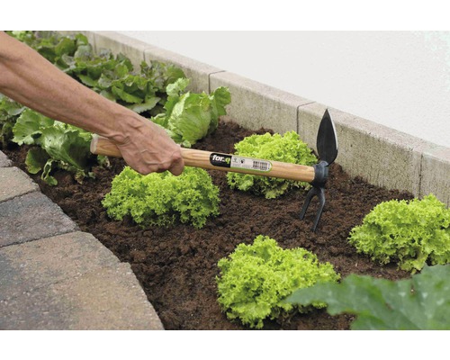 Person arbeitet mit einer Kombihacke in einem Gemüsebeet.