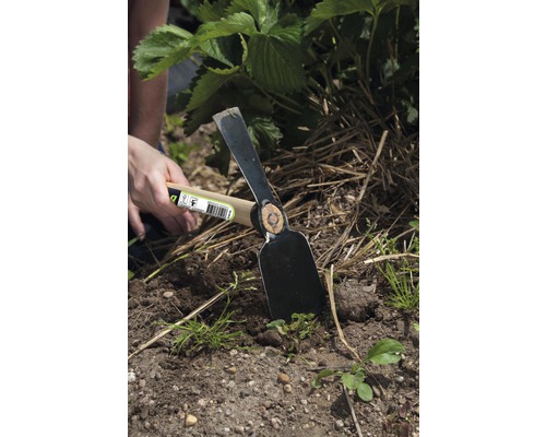 Gartenhacke mit Holzgriff im Einsatz zur Gartenarbeit.