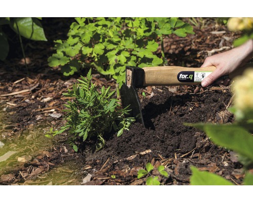 Gartenhacke mit Holzgriff im Einsatz zum Pflanzen in der Erde