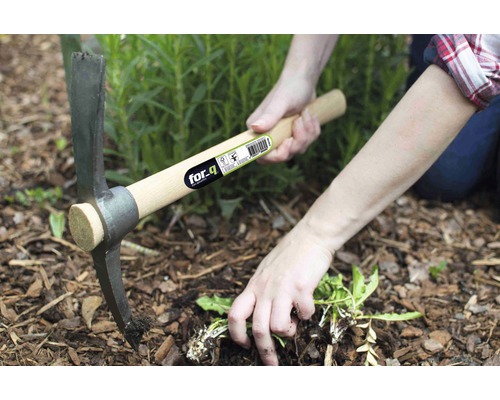 Person entfernt Unkraut mit einer Spitzhacke der Marke for.q