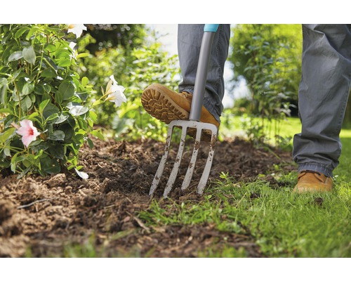 Jardinage avec une fourche-bêche dans un parterre