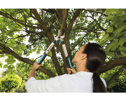 Une femme coupe des branches avec une cisaille à branches dans le jardin.