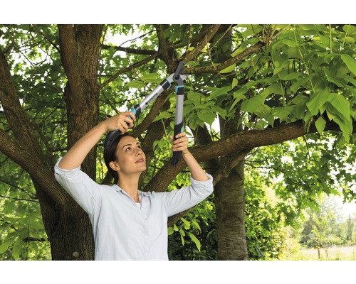 Femme coupant des branches d''arbre avec un sécateur.