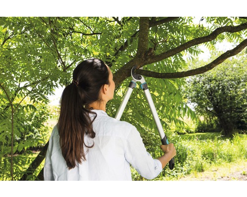 Une femme coupe une branche d''arbre avec un ébrancheur dans le jardin.