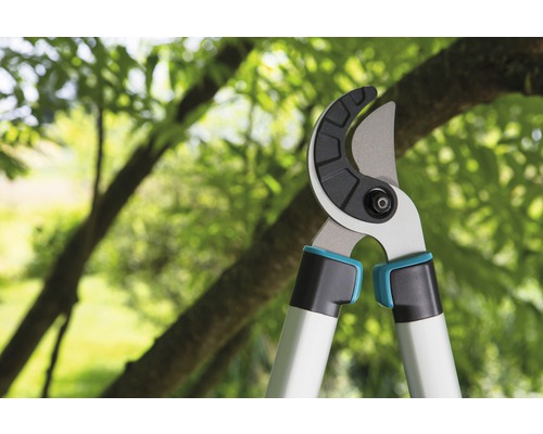 Sécateur devant un arbre