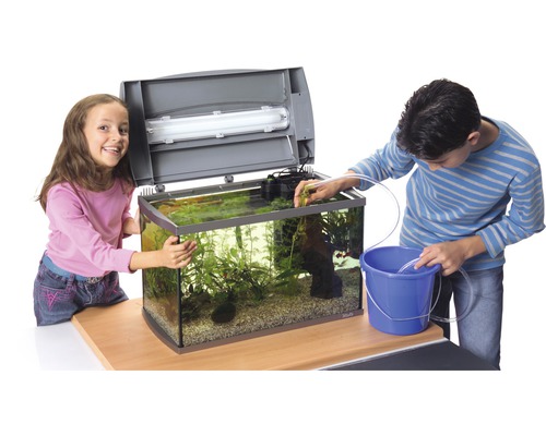 Aquarium avec deux enfants qui le nettoient et l''entretiennent