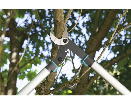 ébrancheur coupe une branche